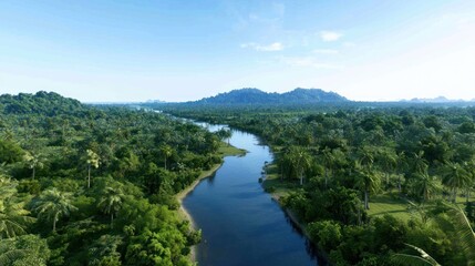 Aerial View of Lush Tropical River