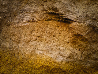 Soil as a natural background.