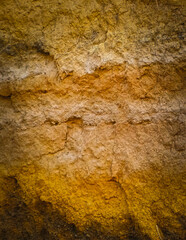 Soil as a natural background.