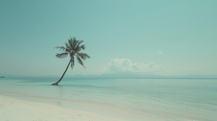 Fototapeta premium serene beach scene featuring lone palm tree by turquoise water, evoking sense of tranquility and relaxation