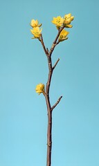 flowers are drawn on a close-up isolated tree,generation AI