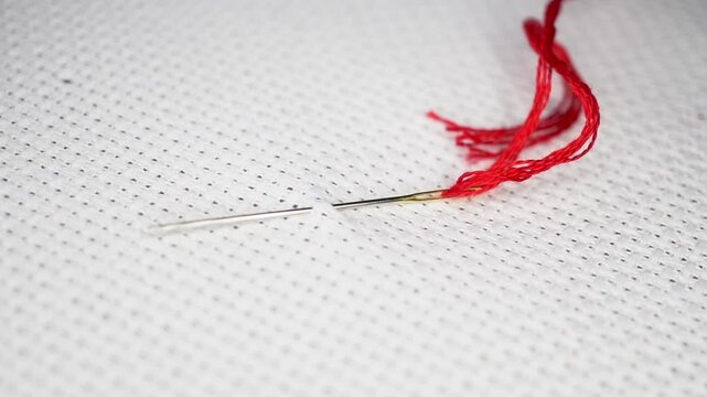 A needle with a threaded floss on an embroidery canvas.