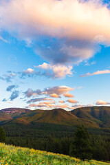 Soft Puffy Pink Clouds Above Mountain Flowers