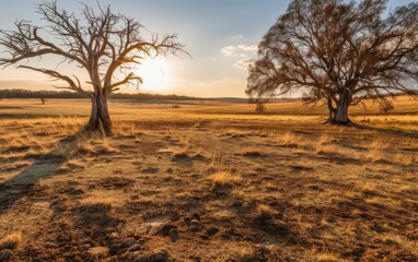 Two Trees in a Vast Field