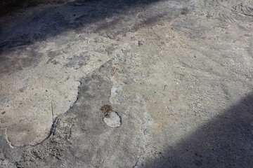 Play of Light and Shadows on Rough Concrete Texture