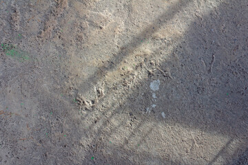 Abstract Sunlight Shadows on Rough Concrete Surface