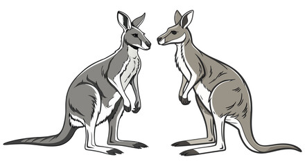 Creative Kangaroo Silhouette and icon