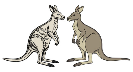 Creative Kangaroo Silhouette and icon