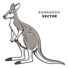 Creative Kangaroo Silhouette and icon