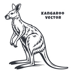 Creative Kangaroo Silhouette and icon