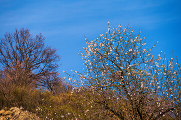 landscape inside the Dolomiti Lucane from the village of Castelmezzano, Potenza province, Basilicata