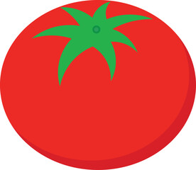 tomato vector illustration 