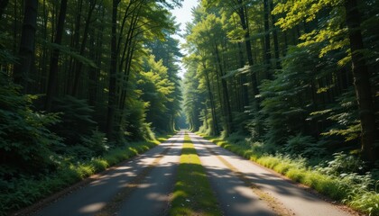 Obraz premium A forked road in a forest: one sunny and clear, the other dark and overgrown, symbolizing life's choices.
