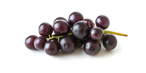 Fototapeta premium a bunch of black grapes