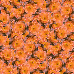 texture of a seamless flower pattern. delicate roses. decorative design elements