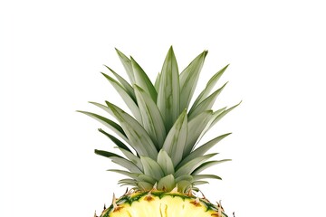 Obraz premium Minimalist Pineapple with Text Space on White Background