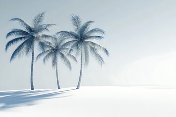 Obraz premium Minimalist Palm Shadows with Text Space on White Background