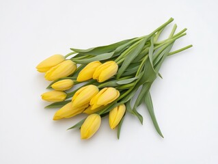 A stunning flat lay of yellow tulips on a white background, ideal for Valentine's Day, Easter, Birthday, Women's Day, and Mother's Day themes.