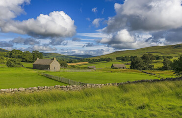 Obraz premium A serene landscape featuring a clear blue sky, vibrant green grasslands, and fluffy white clouds. In the distance, farm buildings add charm to the scene, captured in stunning high photography