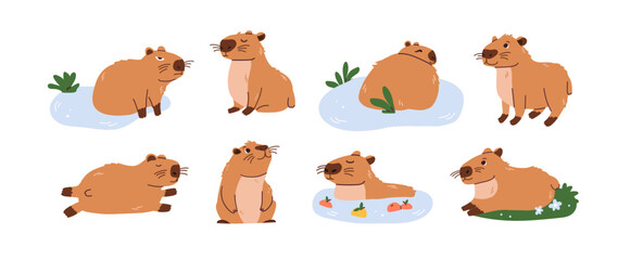 Obraz premium Set of cute capybara isolated on white background. Baby animal capibara character. Funny happy mammal in water nature. Vector flat illustration