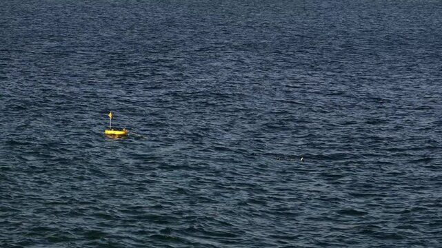 Diving in Mediterranean sea. 4k video with a diver swimming under water with a diving tank next to it.