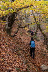 Groups trekking through the forest in autumn. People walking on green land. Mountaineering in Turkey. People trekking on the Artemea road. Balıkesir, Türkiye.