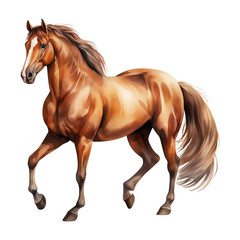 Obraz premium Elegant Horse Clipart Vector Illustration