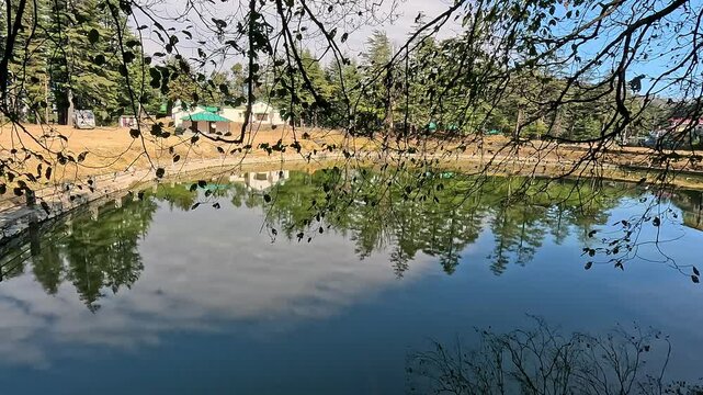 Gwaldam Lake in Uttarakhand, India: A Serene Forest Retreat in Chamoli's Deodar Woods