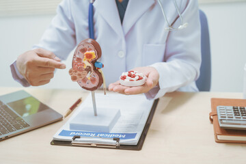 Male doctor treating kidney disease at a hospital table,discussing kidney disease models,diagnosing chronic kidney disease,acute renal failure, nephritis,pyelonephritis,offering online consultations