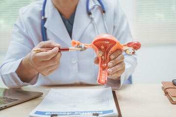 Male doctor treating female uterine diseases at hospital table, discussing uterine disease models,diagnosing uterine tumors, endometriosis,bacterial vaginitis,cervical cancer,HPV-related infections