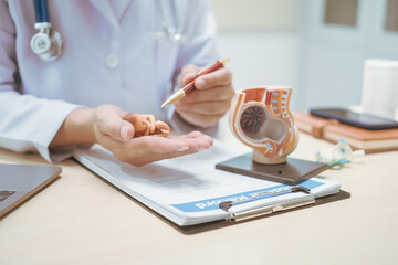 Fototapeta premium Male doctor at a hospital table, discussing pregnancy model, explaining fetal development over 9 months, from embryo to fetus, describing birth position, nail growth, and head nearing the cervix