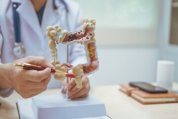 Male doctor treating intestinal diseases at a hospital table, discussing intestinal disease models, diagnosing gastritis ileitis,appendicitis, colon cancer,providing treatment plans and patient care