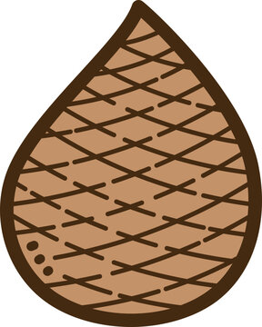 Snakefruit vector doodle illustration and graphic