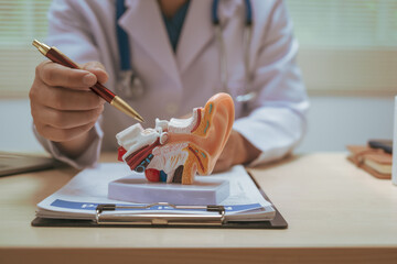 Male doctor treating ear diseases at a hospital, discussing conditions like deafness,tinnitus,...