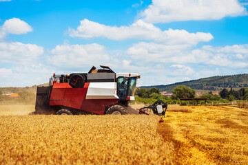Obraz premium Modern combine harvester working on a sunny day in a golden wheat field