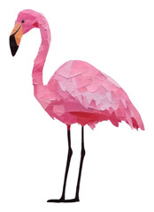 Fototapeta premium PNG Flamingo animal bird beak.