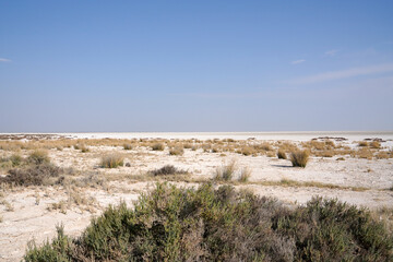 Die Etosha-Salzpfanne im Oktober bei grosser Trockenheit