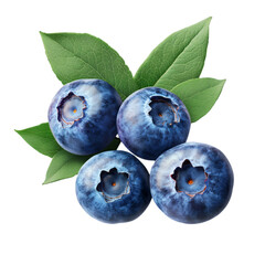 Obraz premium Fresh blueberry isolated on transparent background
