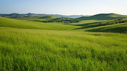 Fototapeta premium green grassland landscape isolated on white background