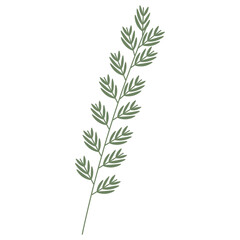 Thin twig with green leaves. Vector flat illustration on white background