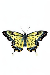 Fototapeta premium the AI Image Generator, a Vibrant Butterfly Against a Dark Background