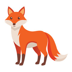 Illustration of Standing fox isolated on white