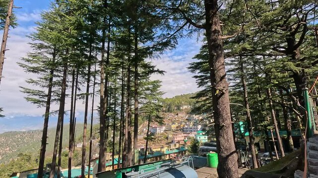Gwaldam Town: Stunning Views Surrounded by Deodar Trees
