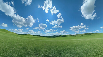 Fototapeta premium A vast, open green grassland beneath a clear blue sky and fluffy white clouds, stretching toward the horizon. The clean and simple background emphasizes the contrast between light and dark