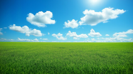 Fototapeta premium A vast, open green grassland beneath a clear blue sky and fluffy white clouds, stretching toward the horizon. The clean and simple background emphasizes the contrast between light and dark