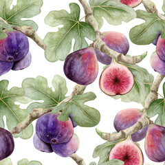 Watercolor figs trees seamless pattern on white with twigs, fruits and leaves. Ripe purple berries on branches for organic food designs and summer backgrounds. Mediterranean delicacy plant