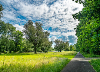 Scenic Park Pathway Amidst Lush Greenery and Cloudy Sky, River Main Germany