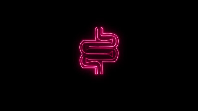 Brain organ set design, outline, solid and colored. Gut constipation icon design,Intestines icon, symbol of digestion system. animation 4k video 