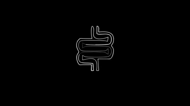 Brain organ set design, outline, solid and colored. Gut constipation icon design,Intestines icon, symbol of digestion system. animation 4k video 