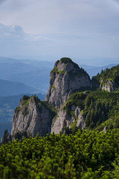 Larges Cliffs Covered With Pine Trees Rising On A Hill, Blue Colored Forest And Cloudy Sky In The Background, Blurry Green Bushes In The Foreground In The Ceahlău Massif (Masivul Ceahlău)